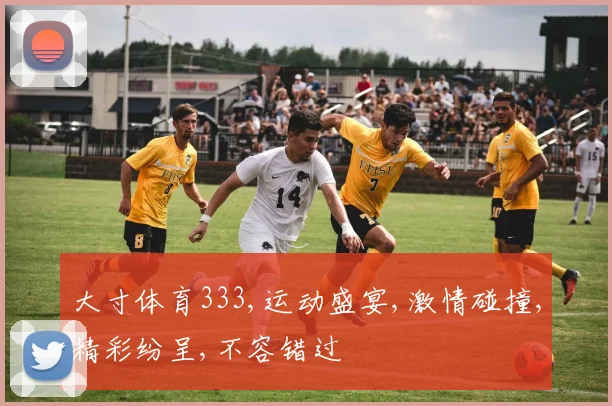 大寸体育333,运动盛宴,激情碰撞,精彩纷呈,不容错过