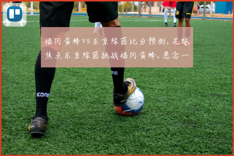 福冈黄蜂vs东京绿茵比分预测,足球焦点东京绿茵挑战福冈黄蜂,悬念一触即发,谁将问鼎