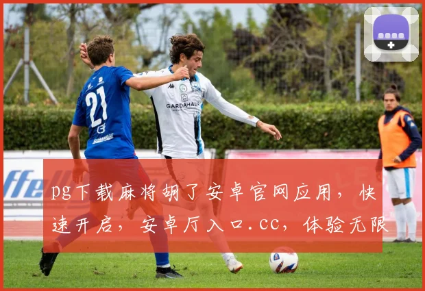 pg下载麻将胡了安卓官网应用,快速开启,安卓厅入口.cc,体验无限欢乐