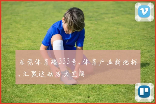 东莞体育路333号,体育产业新地标,汇聚运动活力空间